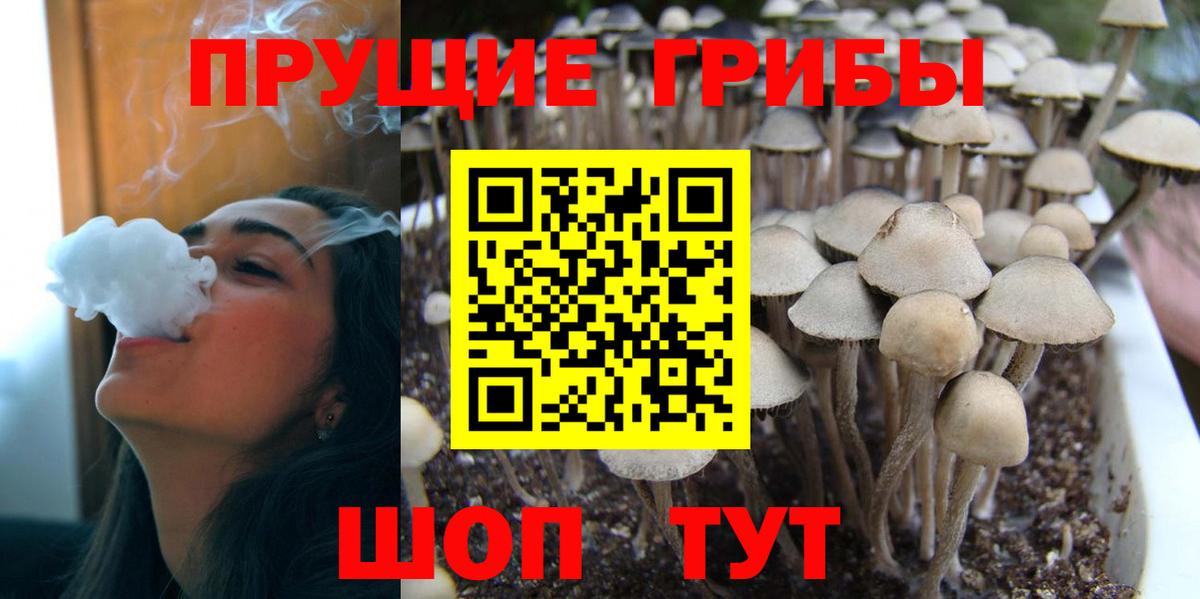 Псилоцибиновые грибы Magic Shrooms Москва